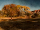 Tn Fall in Sedona Donna